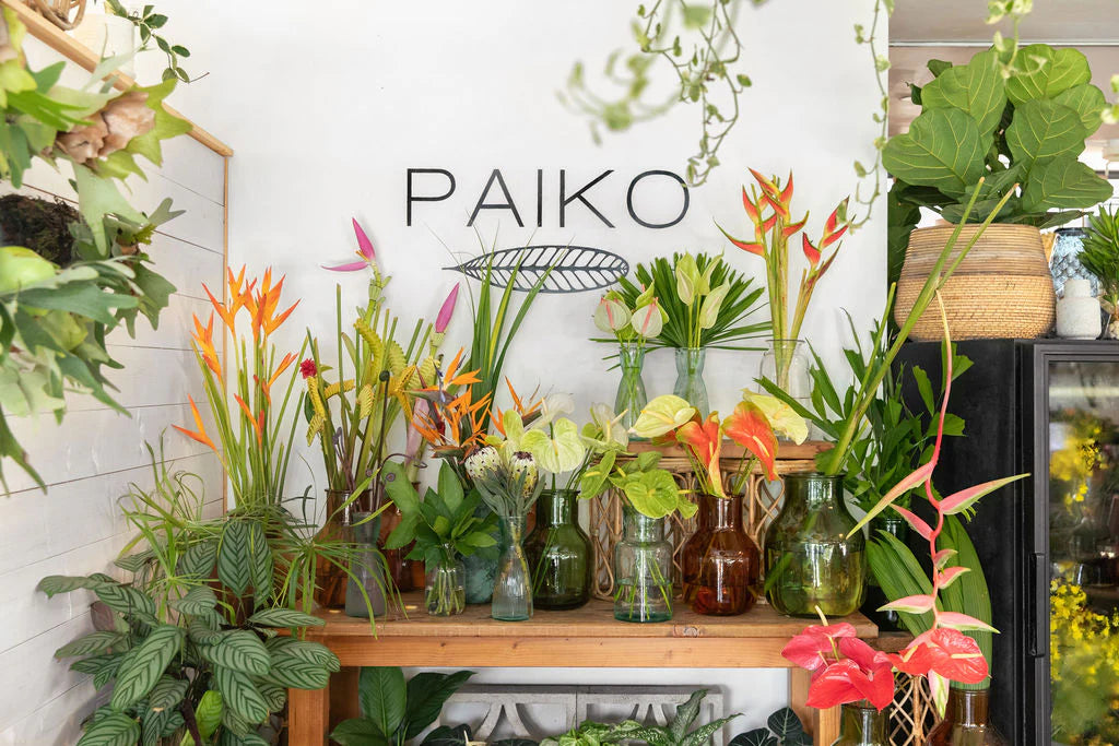 Paiko - Florist in Honolulu