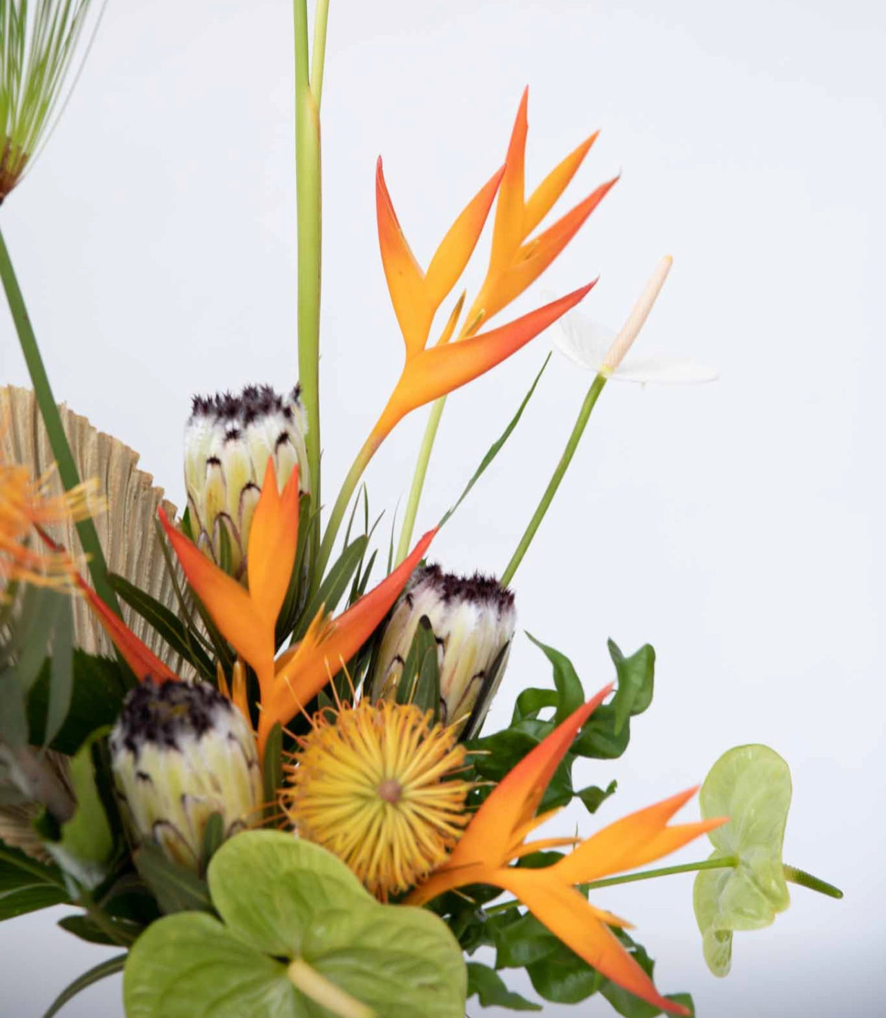 The Glass Arrangement - XL