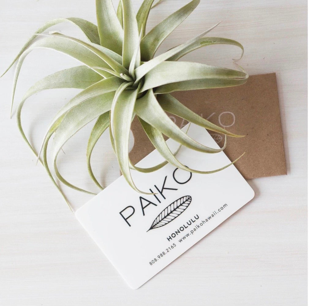 Paiko Gift Card
