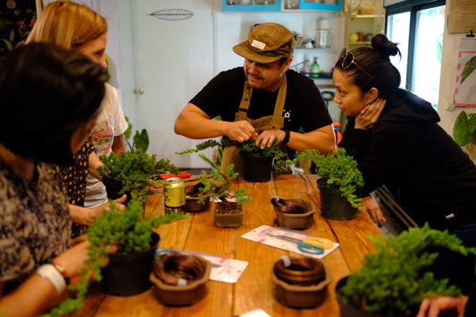 Bonsai Workshop Sunday 2.22 at 4p