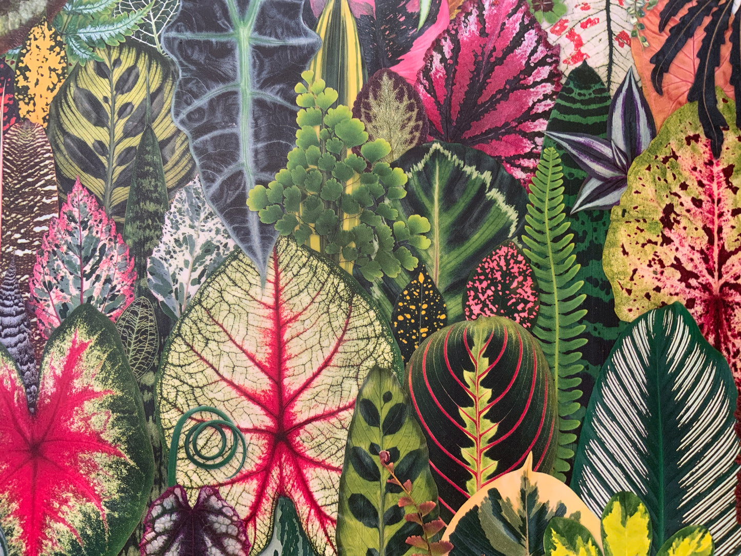 houseplant jungle puzzle